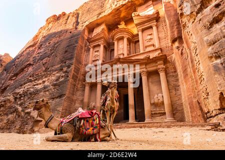 Atemberaubende Aussicht auf zwei Kamele, die vor dem Al Khazneh (Schatzkammer) in Petra posieren. Al-Khazneh ist einer der aufwändigsten Tempel in Petra. Stockfoto