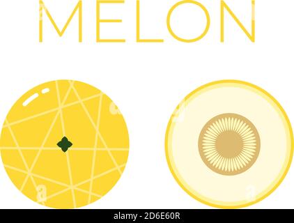 Vektor von Melon und die Hälfte von Melon auf Weiß geschnitten Hintergrund Stock Vektor