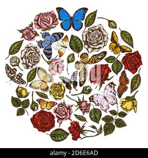 Rundes florales Design mit farbigem menelaus blauem Morpho, Zitronenschmetterling, roter Schnürung, afrikanischem Riesenschwänz, alcides agathyrsus, wallace's golden Stock Vektor