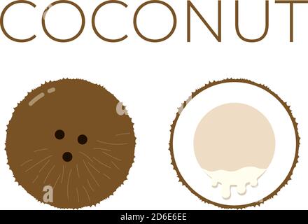 Vektor von Kokosnuss und in Scheiben geschnittene Hälfte von Kokosnuss auf weiß Hintergrund Stock Vektor