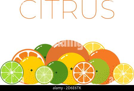 Vector Citrus Früchte packen und geschnitten Hälfte von Citrus auf Weißer Hintergrund Stock Vektor