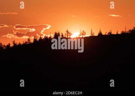 Im Sommer geht die Sonne hinter dem mit Bäumen bedeckten Hügel in Lappland, Nordfinnland, unter. Stockfoto