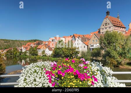 Blick über die Enz in die Altstadt mit Rathaus, Besigheim, Baden-Württemberg, Deutschland Stockfoto