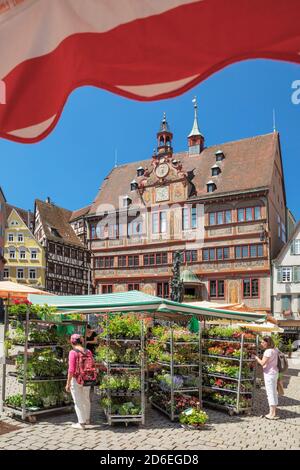 Wochenmarkt vor dem Rathaus auf dem Marktplatz, Tübingen, Baden-Württemberg, Deutschland Stockfoto