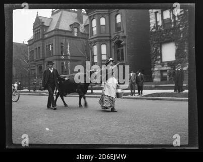 Mrs. O'Leary und ihre Kuh während der Chicago Fire of 1871 Feier, Chicago, Illinois, 9. Oktober 1911. Stockfoto