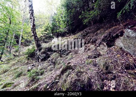 Okertal im Harz, Verlöbungsinsel, Deutschland. Stockfoto