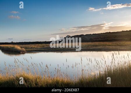 Ein Blick auf Cuckmere Haven an einem sonnigen Sommerabend Stockfoto