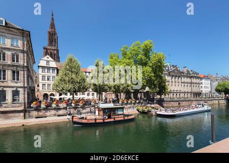 Ausflugsboote auf der Ill vor dem Palais Rohan, dahinter der Straßburger Dom, Straßburg, Elsass, Frankreich Stockfoto