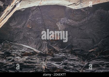 Nahaufnahme auf einer in einem Felsen der jurassic Klippe in Kimmeridge Bay enthaltenen Amonithülle, prähistorischen Gesteinen, die Dolomitkalk und Fossilien enthalten Stockfoto