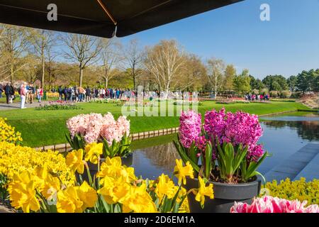 Besucher in Keukenhof, Südholland, Niederlande Stockfoto