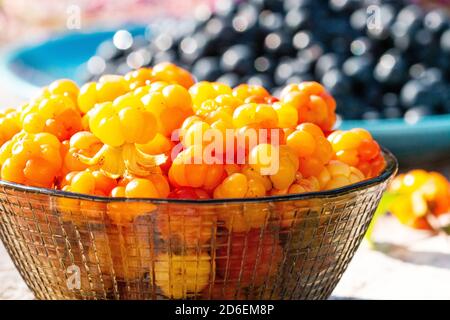 Goldene und frisch gepflückte süße Nebelbeeren (Rubus chamaemorus) als nördliche Delikatesse in einer kleinen Glasschüssel an einem Sommertag in Estland. Stockfoto