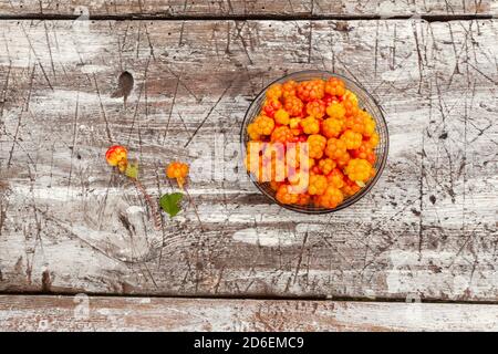 Köstliche und süße frisch gepflückte Cloudberries (Rubus chamaemorus) als nördliche Delikatesse in einer kleinen Glasschüssel auf einem rustikalen alten Tisch platziert. Stockfoto