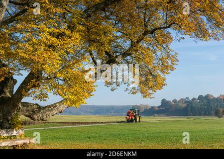 Deutschland, Baden-Württemberg, Hildrizhausen, Traktor mit Pflug, Oberlinde im Würmtal Stockfoto