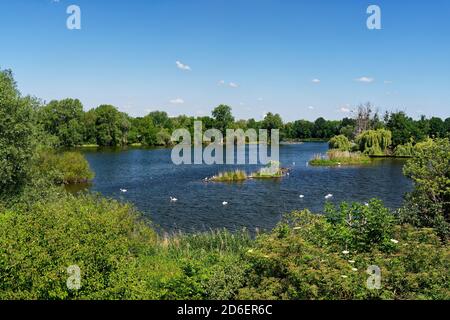 Naturschutzgebiet Haselbacher Teiche bei Haselbach, Altenburger Land, Thüringen, Deutschland Stockfoto