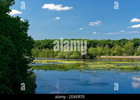 Naturschutzgebiet Haselbacher Teiche bei Haselbach, Altenburger Land, Thüringen, Deutschland Stockfoto