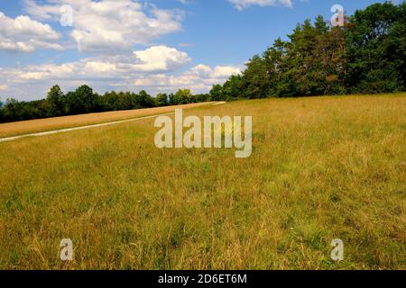 Der Staffelberg bei Bad Staffelstein, Bezirk Lichtenfels, Oberfranken, Franken, Bayern, Deutschland Stockfoto