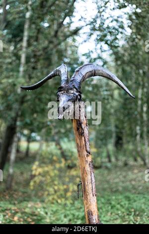 Ziegenschädel auf einem Holzspieß Stockfoto