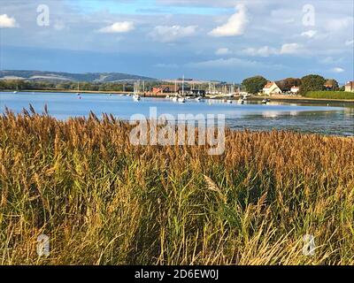 Szene über die Schilfbetten, auf den Kanal des Chichester Harbour blickend Dell Quay in der Ferne und die South Downs und Goodwood Rennbahn, Großbritannien Stockfoto