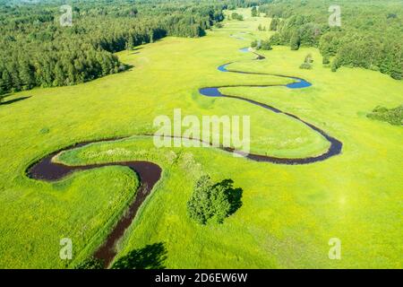 Soomaa Nationalpark. Luftaufnahme der sommerlichen üppigen und sonnigen Mulgi bewaldeten Wiese in der estnischen Natur, Nordeuropa. Stockfoto