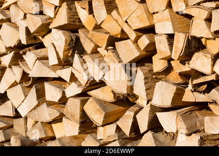 Brennholz, Buchenholz, (Fagus sylvatica), Allgäu, Bayern, Deutschland, Europa Stockfoto