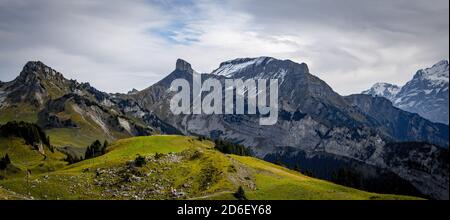 Wunderbarer Panoramablick über die Schweizer Alpen - Blick aus Schynige Platte Mountain Stockfoto