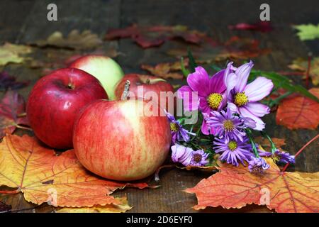 Schönes Herbststillleben von Blumen und Äpfeln Stockfoto