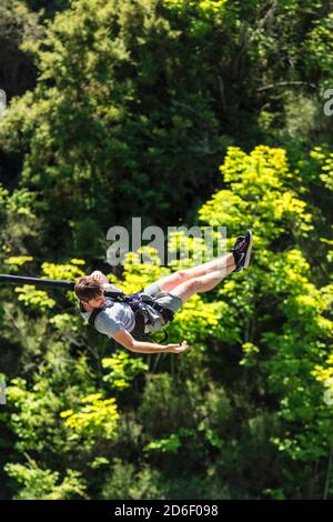 Bungee Jumping von der Kawarau Bridge, Kawarau River Gorge, Queenstown, Otago, Südinsel, Neuseeland, Ozeanien Stockfoto