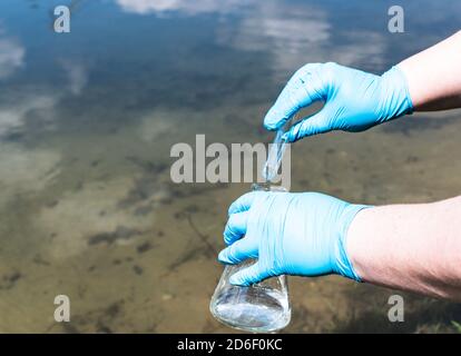 Analyse des Wassers aus dem Fluss auf Verschmutzung. Hand in einem blauen Handschuh hält ein Reagenzglas. Das Konzept der Umweltverschmutzung, Ökologie Stockfoto