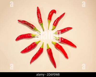 Hot reife Bio-Chilischoten in einem Kreis angeordnet, hellen Hintergrund Stockfoto