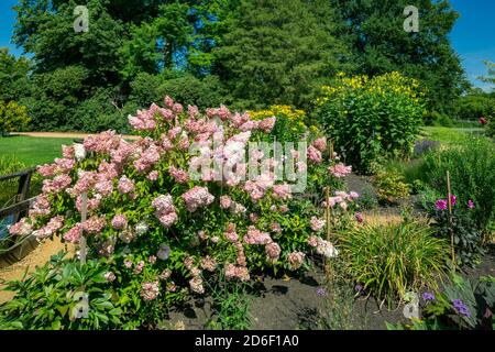 Schlosspark am Wasserschloss Lembeck, Barockgarten, englischer Landschaftsgarten, Blumengarten, Ziergarten, Deutschland, Dorsten-Lembeck, Lippe, Ruhrgebiet, Naturpark hohe Mark Westmünsterland, Münsterland, Westfalen, Nordrhein-Westfalen, *** Ortsüberschrift *** Stockfoto