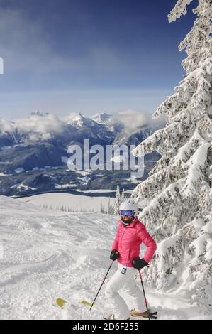 Eine Skifahrerin vor dem Hintergrund einer majestätischen Winterlandschaft und schneebedeckten Bäumen. Revelstoke, Kanada. Modellversion. Stockfoto