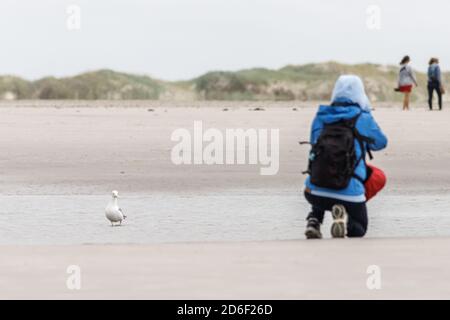 Ein Fotograf mit Rucksack kniet im Sand, um ein Foto zu machen und wird von einer Möwe beobachtet. Stockfoto