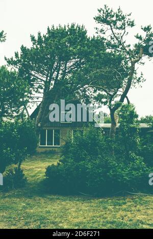 Hinter dem Deich - ein kleines Haus umgeben von Bergkiefern und Kiefern in Norddeutschland, Nordsee Stockfoto