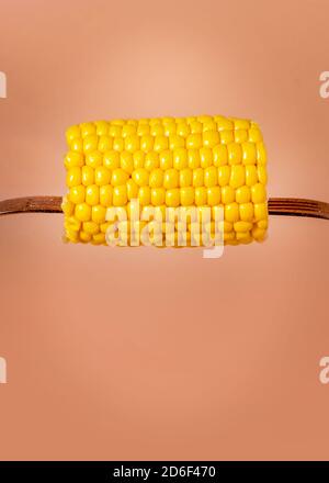 Vertikaler saftiger Mais auf dem Cob auf einem schlichten Hintergrund Mit Blockfarbenaufnahme für Text über Lay und Copy Platz Stockfoto