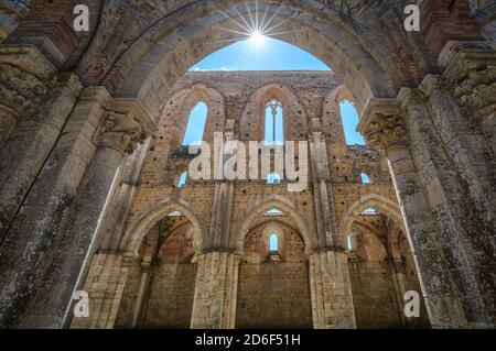 San Galgano Abteiruinen, Innenansicht, Chiusdino Gemeinde, Provinz Siena, Toskana, Italien Stockfoto