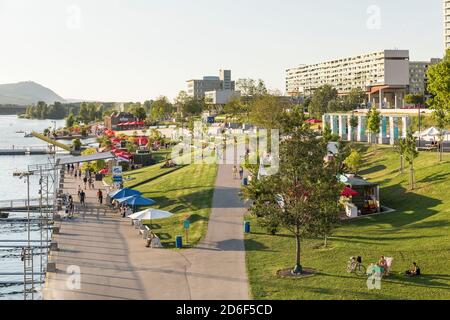 Der CopaBeach an der Neuen Donau, Erholungsgebiet, 22. Bezirk, Donaustadt, Wien, Österreich, Stockfoto