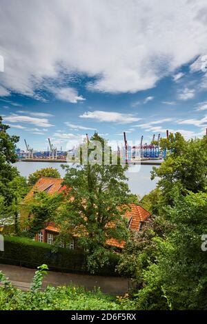 Deutschland, Norddeutschland, Hafenstadt, Hamburg, Altona, Othmarschen, Schulberg, Seehafen, Elbe, Blick von der Elbchaussee über Baumkronen und Hausdächer, Hafenbecken mit Containerterminal in Waltershof, Buchardkai, Hochformat Stockfoto