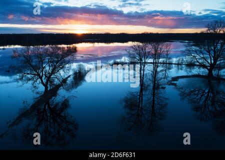 Soomaa Nationalpark während einer Frühlingsüberflutung auch bekannt als die fünfte Jahreszeit in der estnischen Natur, Nordeuropa. Stockfoto