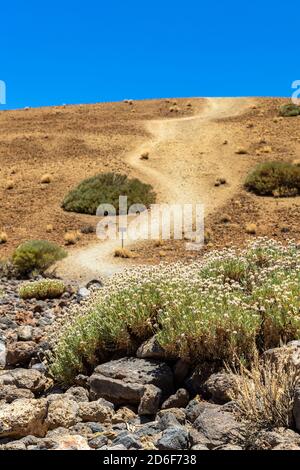 Blick auf den weißen Hügel (montana blanca) im Nationalpark, Teneriffa, Spanien Stockfoto