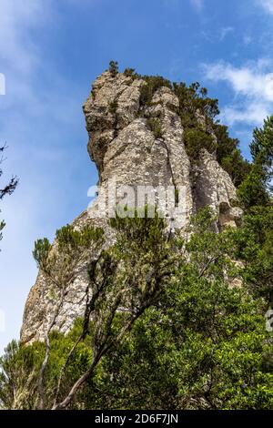 'Roque Anambro' auf dem 'Bosque Encantado' Wanderweg im Nebelwald des Anaga-Gebirges, Teneriffa, Spanien Stockfoto