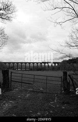 '44871' führt '45407' durch das Viadukt von Cynghordy mit einem Zug in Richtung Norden. Stockfoto