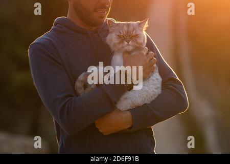 Mann hält seine zornige mürrische reinrassige Katze draußen auf den Sonnenuntergang. Haustier mit Eigentümer Stockfoto