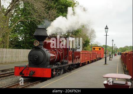 'Fiji' an der Dinas Junction Station. Stockfoto