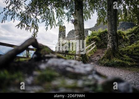 Zwei Bäume wachsen im inneren Teil der Werdenfels Burgruine, Garmisch-Partenkirchen, Bayern Stockfoto