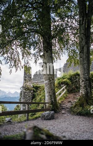 Zwei Bäume wachsen im inneren Teil der Werdenfels Burgruine, Garmisch-Partenkirchen, Bayern Stockfoto