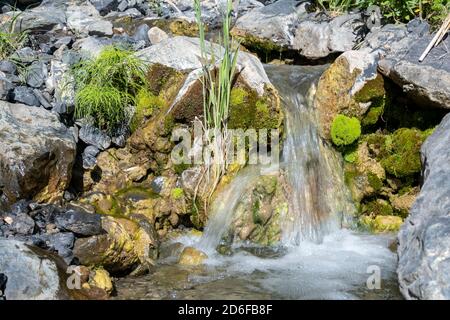 Wasser eines kleinen Baches in Bewegung Stockfoto