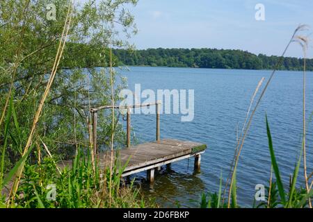 Bootssteg, großer Eutiner See, Naturpark Holstein Schweiz, Eutin, Schleswig-Holstein, Deutschland, Europa Stockfoto
