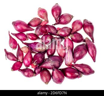 Dunkelrote Zwiebelzwiebeln zum Pflanzen im Boden. Studio Foto Stockfoto