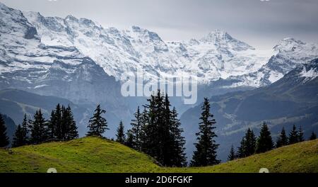 Wunderbarer Panoramablick über die Schweizer Alpen - Blick aus Schynige Platte Mountain Stockfoto