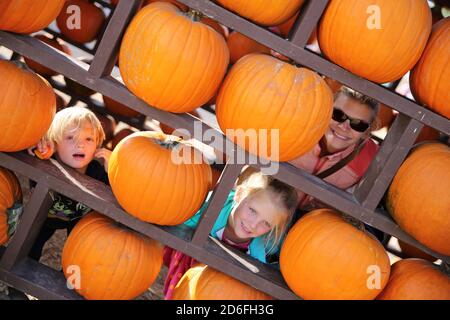 Herbst-Festival in Underwood Farms, Moorpark, Kalifornien, USA Stockfoto